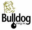 Bulldog Oil & Gas Inc.